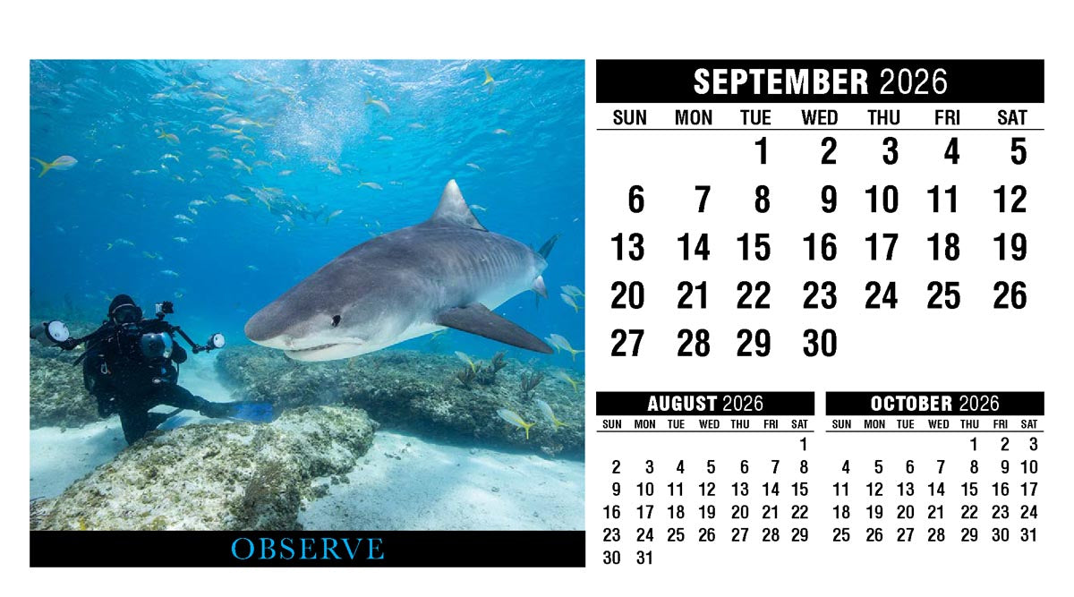 Motivation 2026 Promotional Desk Calendar