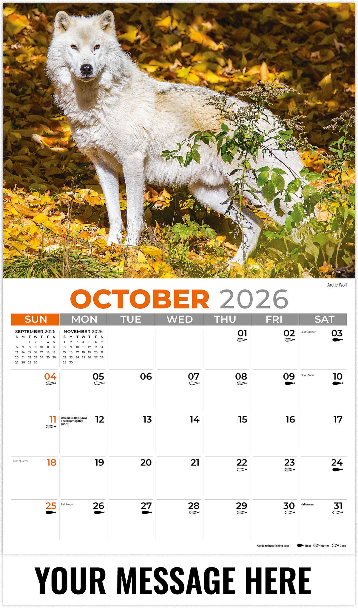 NA-Wildlife 2026 October