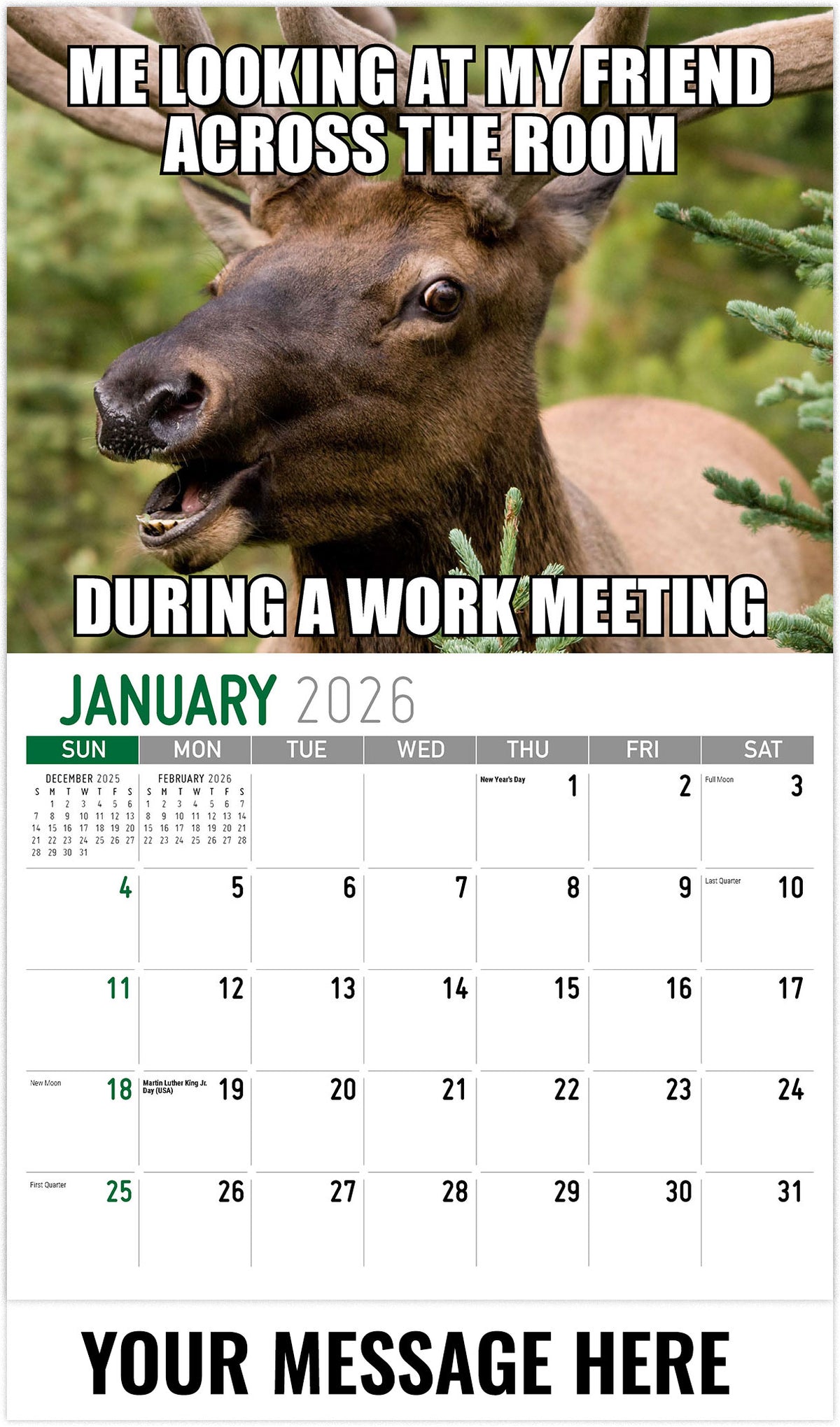 The-Meming-of-Life 2026 January