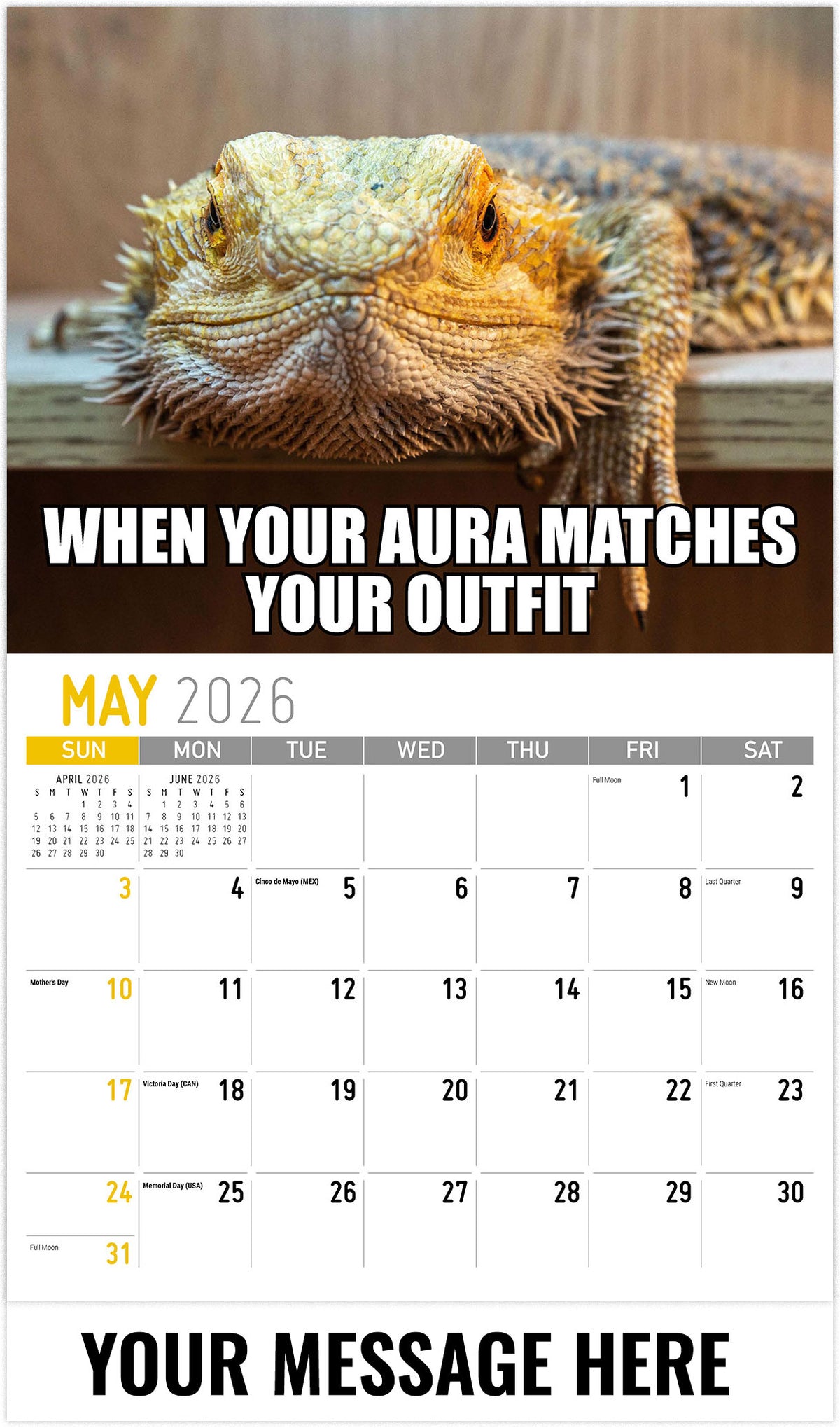 The-Meming-of-Life 2026 May