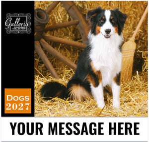 Dogs-GALLERIA