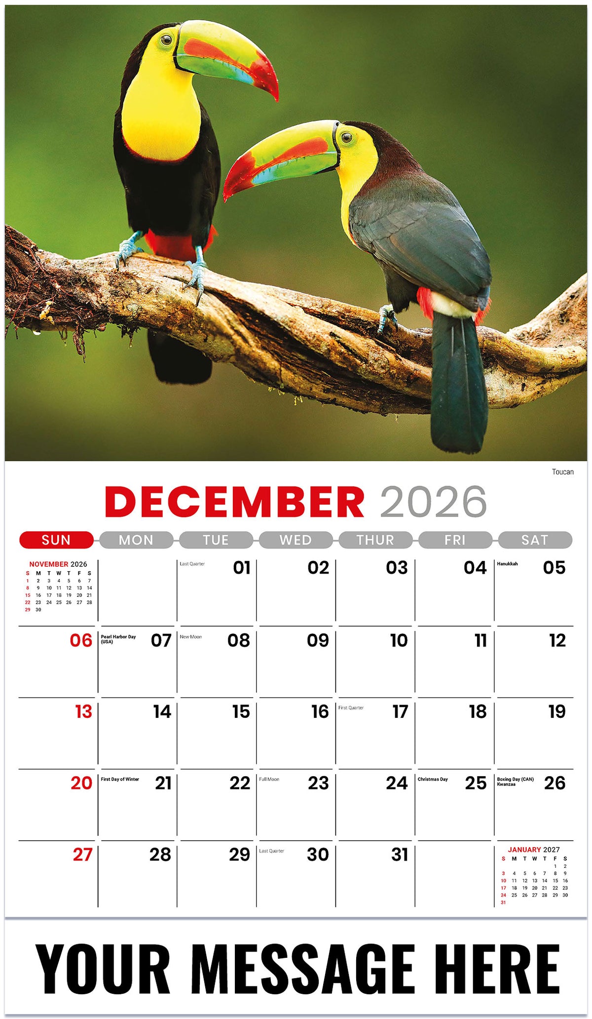 International-Wildlife 2026 December