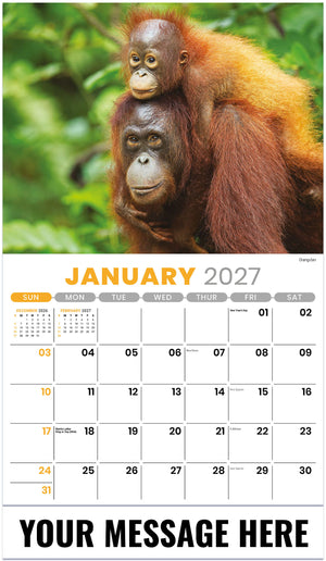 International-Wildlife 2027 January