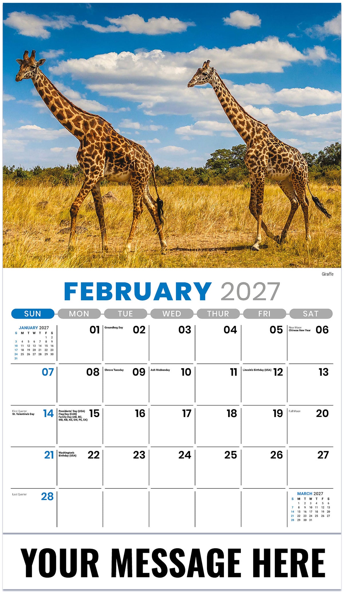 International-Wildlife 2027 February