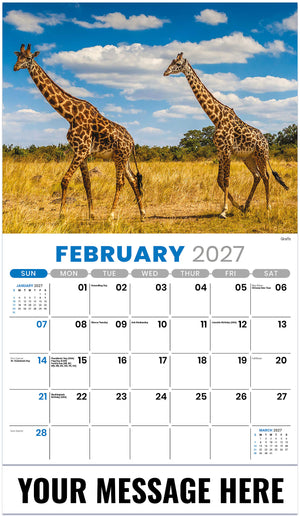 International-Wildlife 2027 February