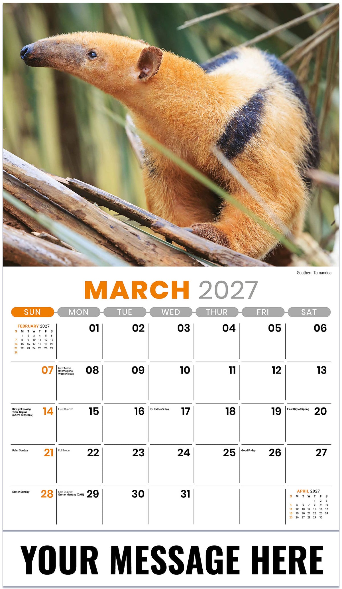 International-Wildlife 2027 March