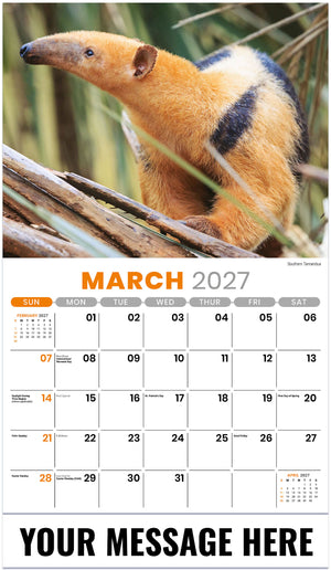 International-Wildlife 2027 March