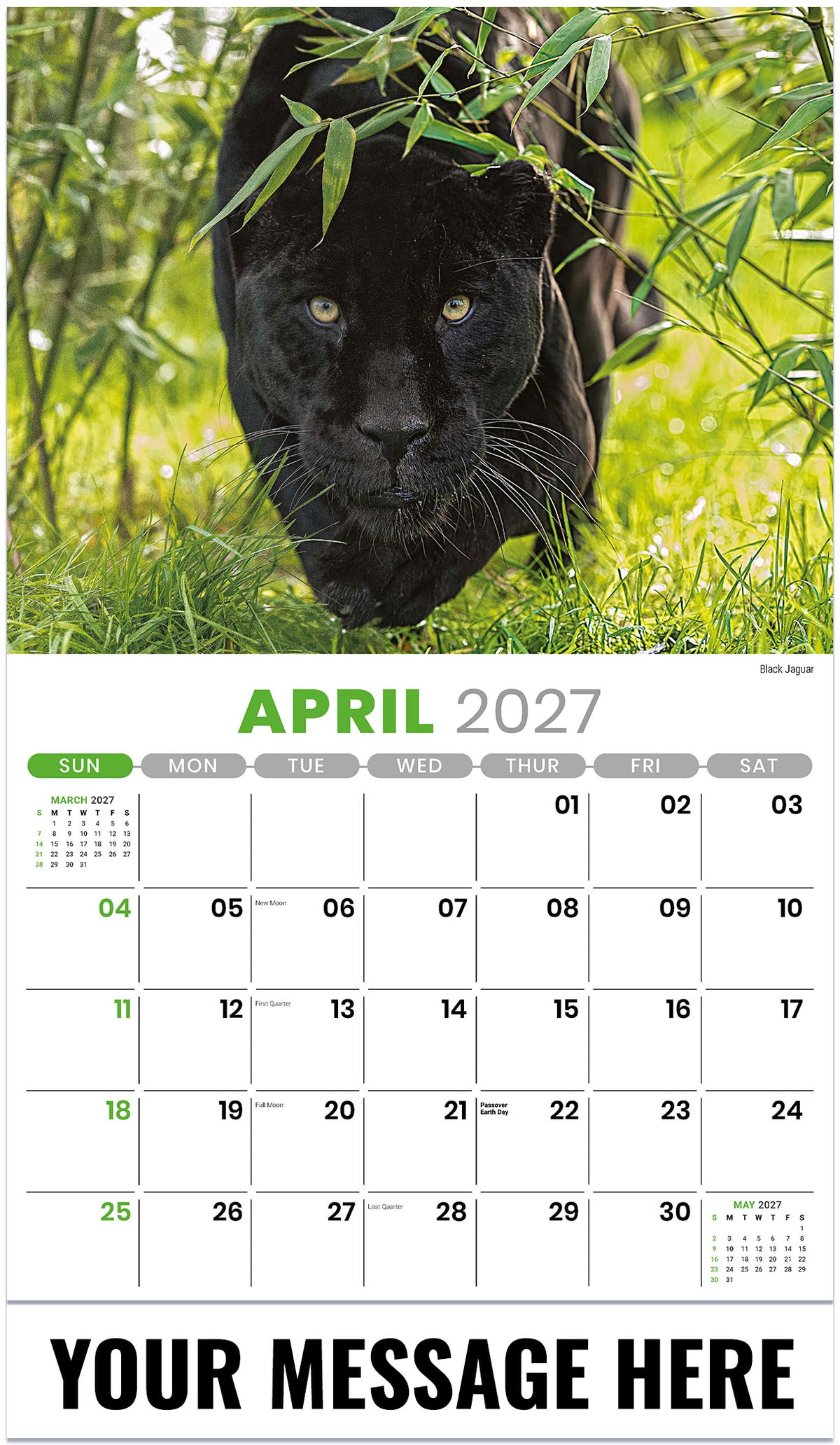 International-Wildlife 2027 April