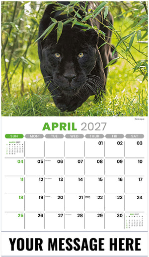 International-Wildlife 2027 April