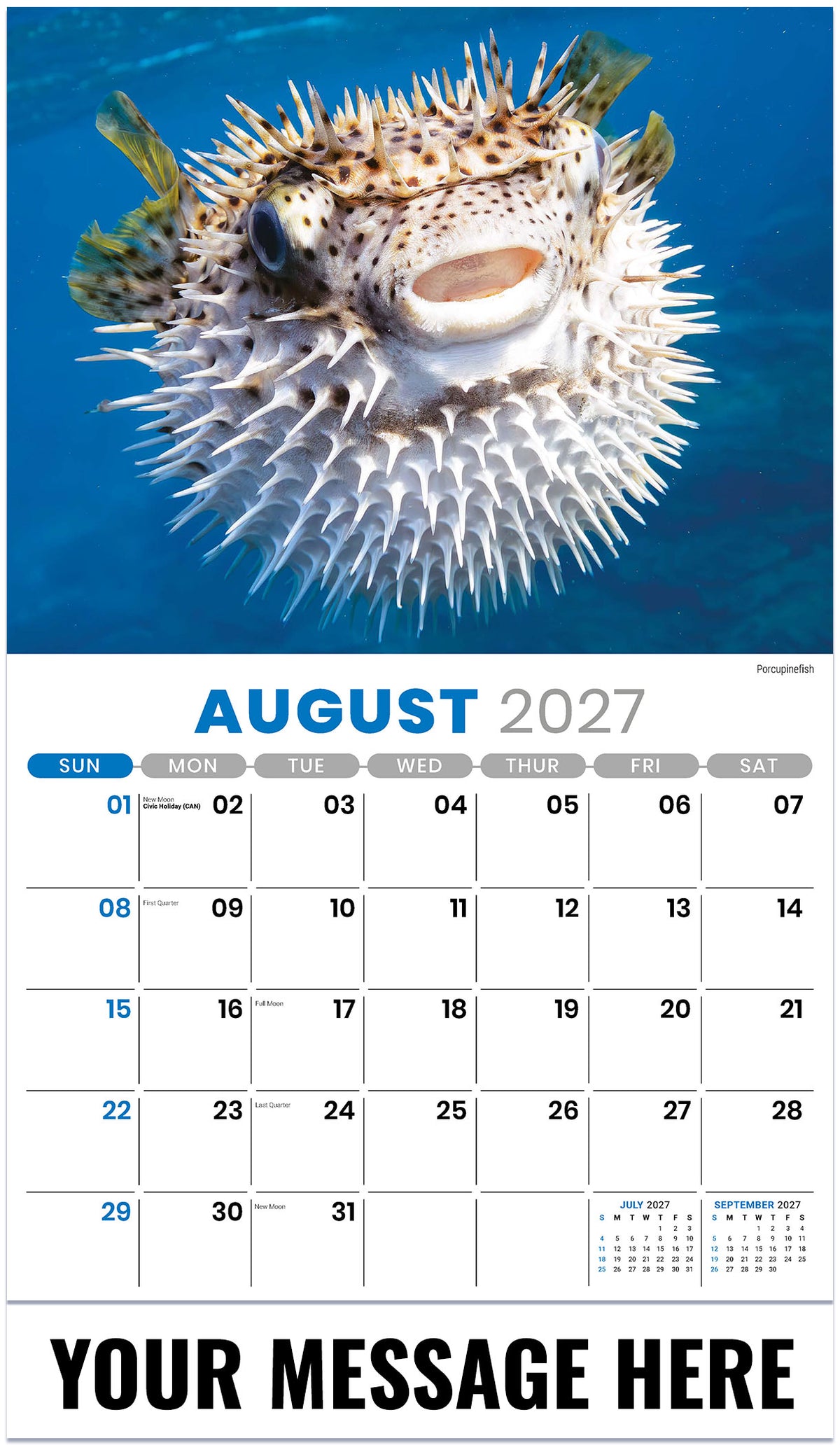 International-Wildlife 2027 August