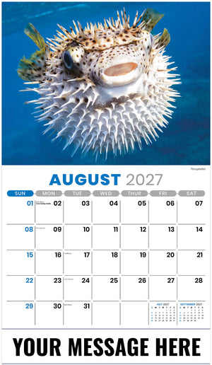 International-Wildlife 2027 August