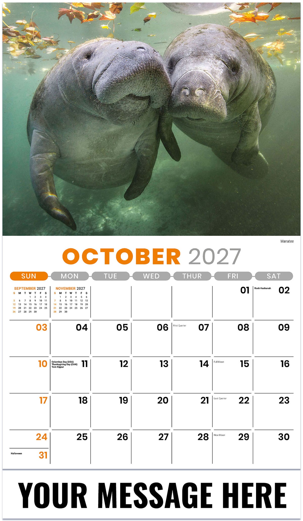International-Wildlife 2027 October