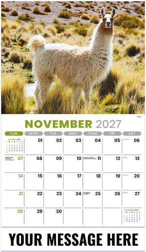 International-Wildlife 2027 November