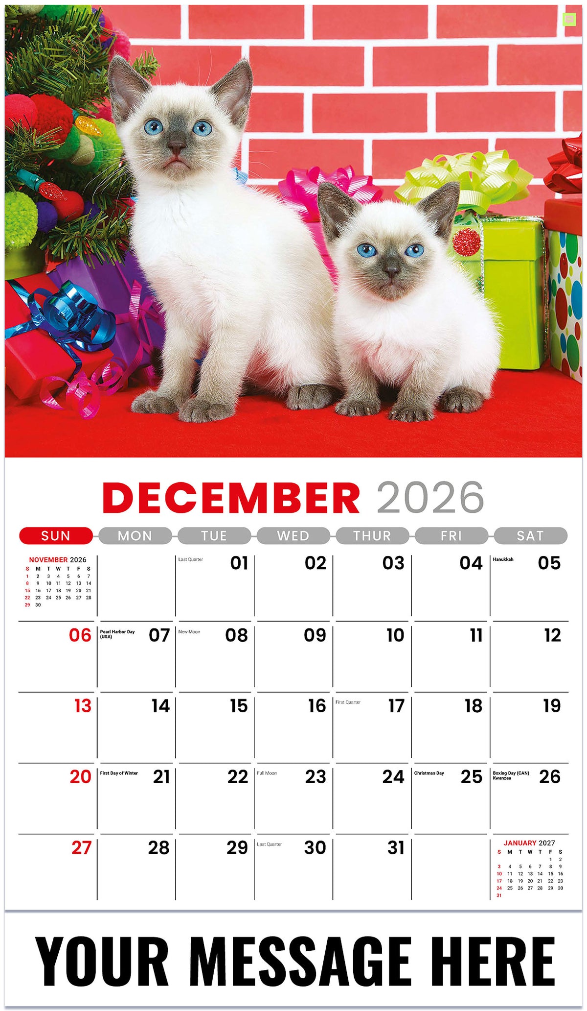 Kittens 2026 December