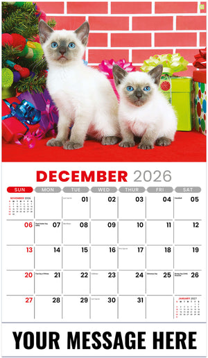 Kittens 2026 December