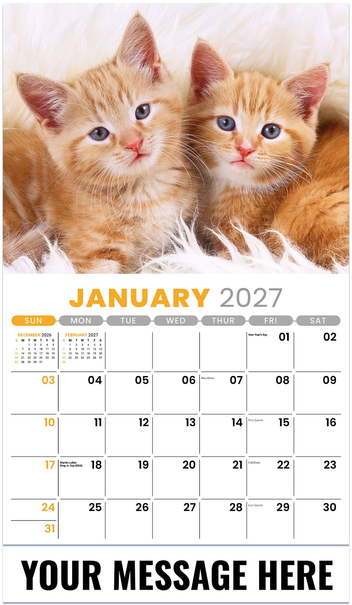 Kittens 2027 January