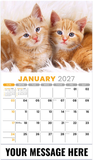 Kittens 2027 January