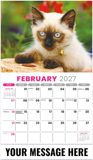 Kittens 2027 February