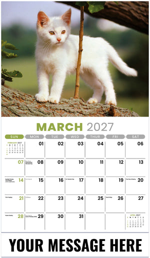 Kittens 2027 March