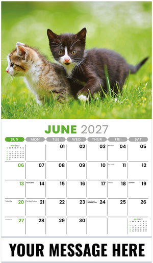 Kittens 2027 June