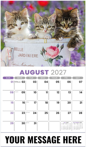Kittens 2027 August