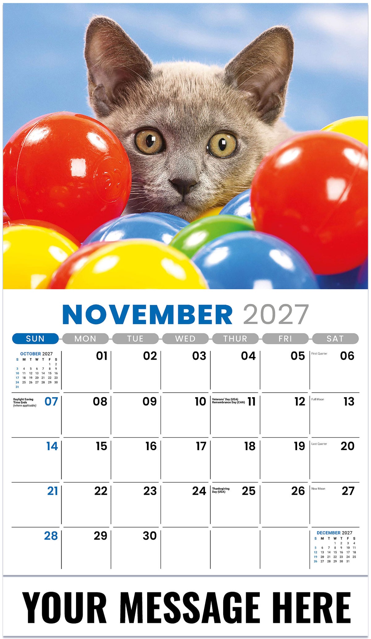 Kittens 2027 November