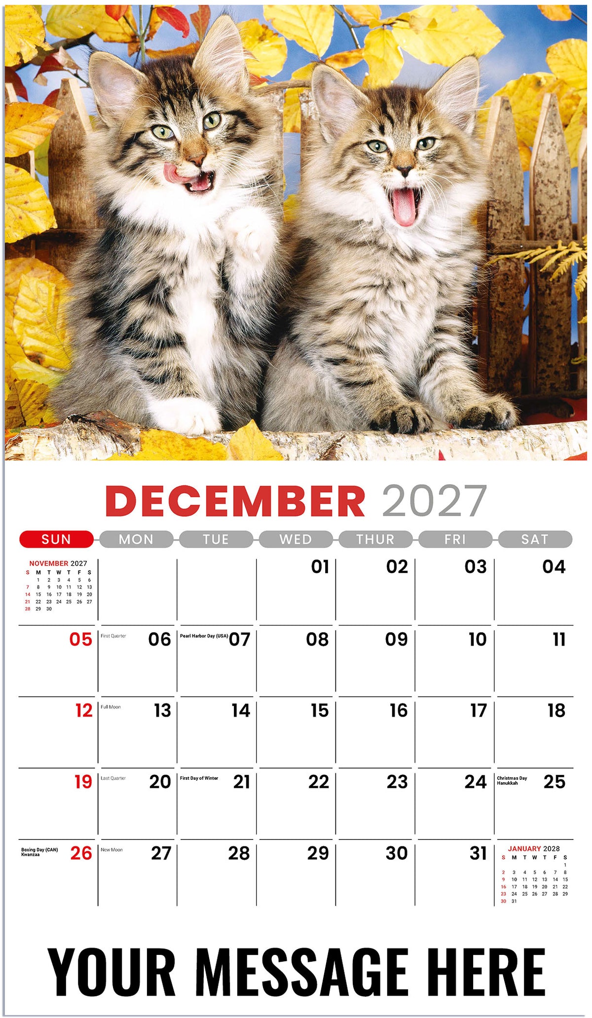 Kittens 2027 December