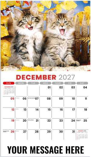 Kittens 2027 December