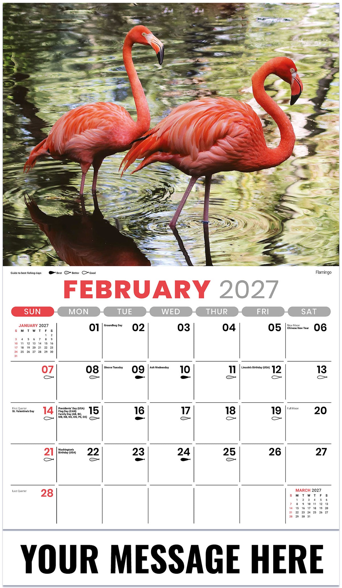 NA-Wildlife 2027 February
