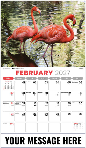 NA-Wildlife 2027 February