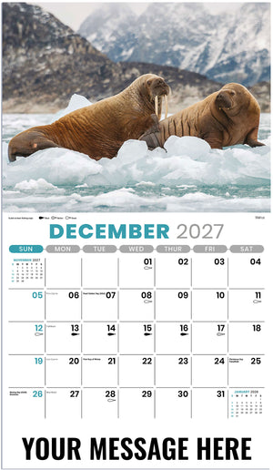 NA-Wildlife 2027 December