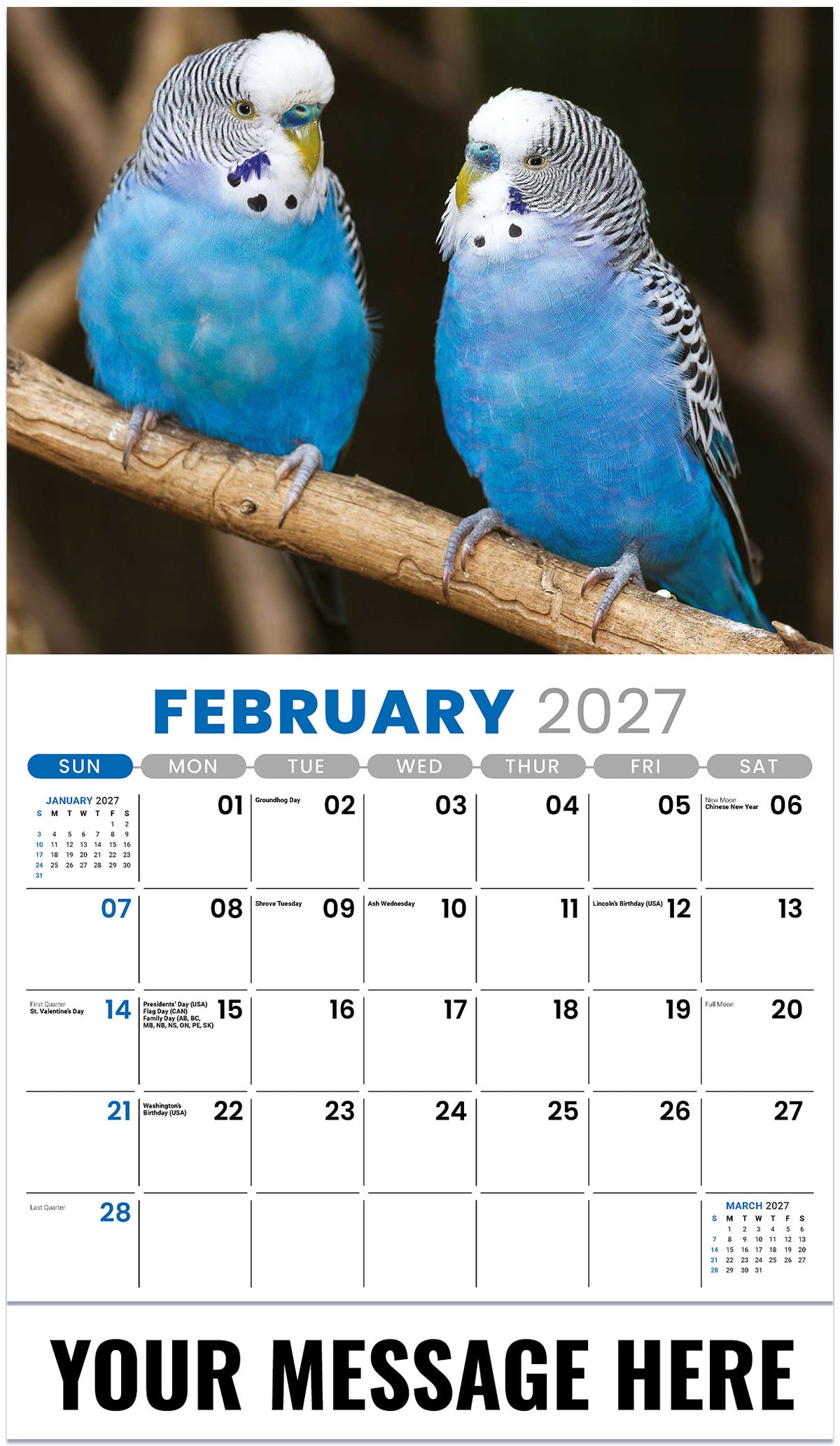 Pets 2027 February