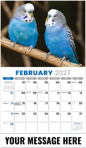 Pets 2027 February