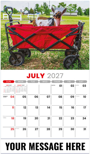 Pets 2027 July
