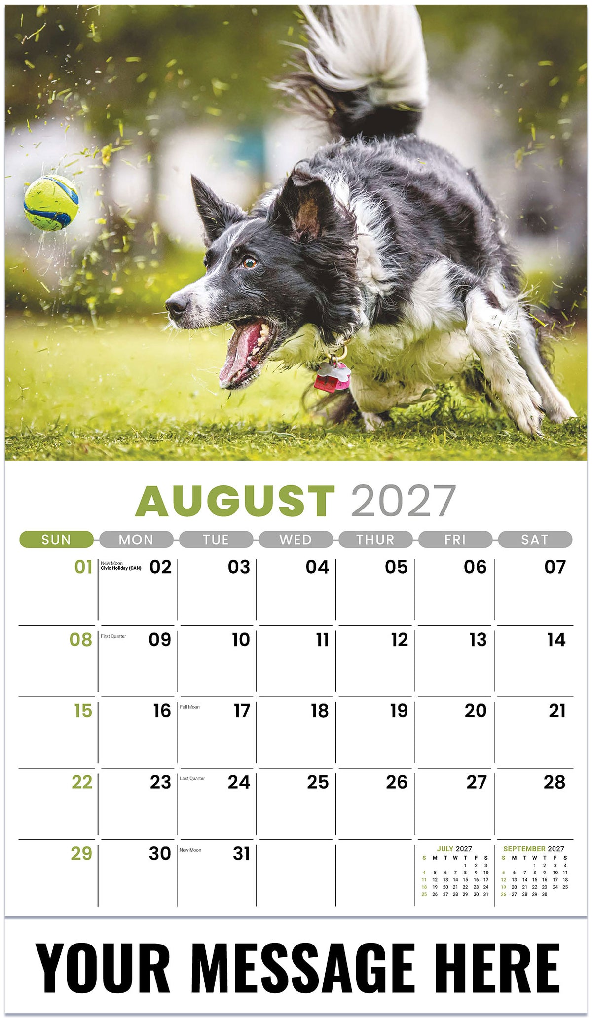 Pets 2027 August