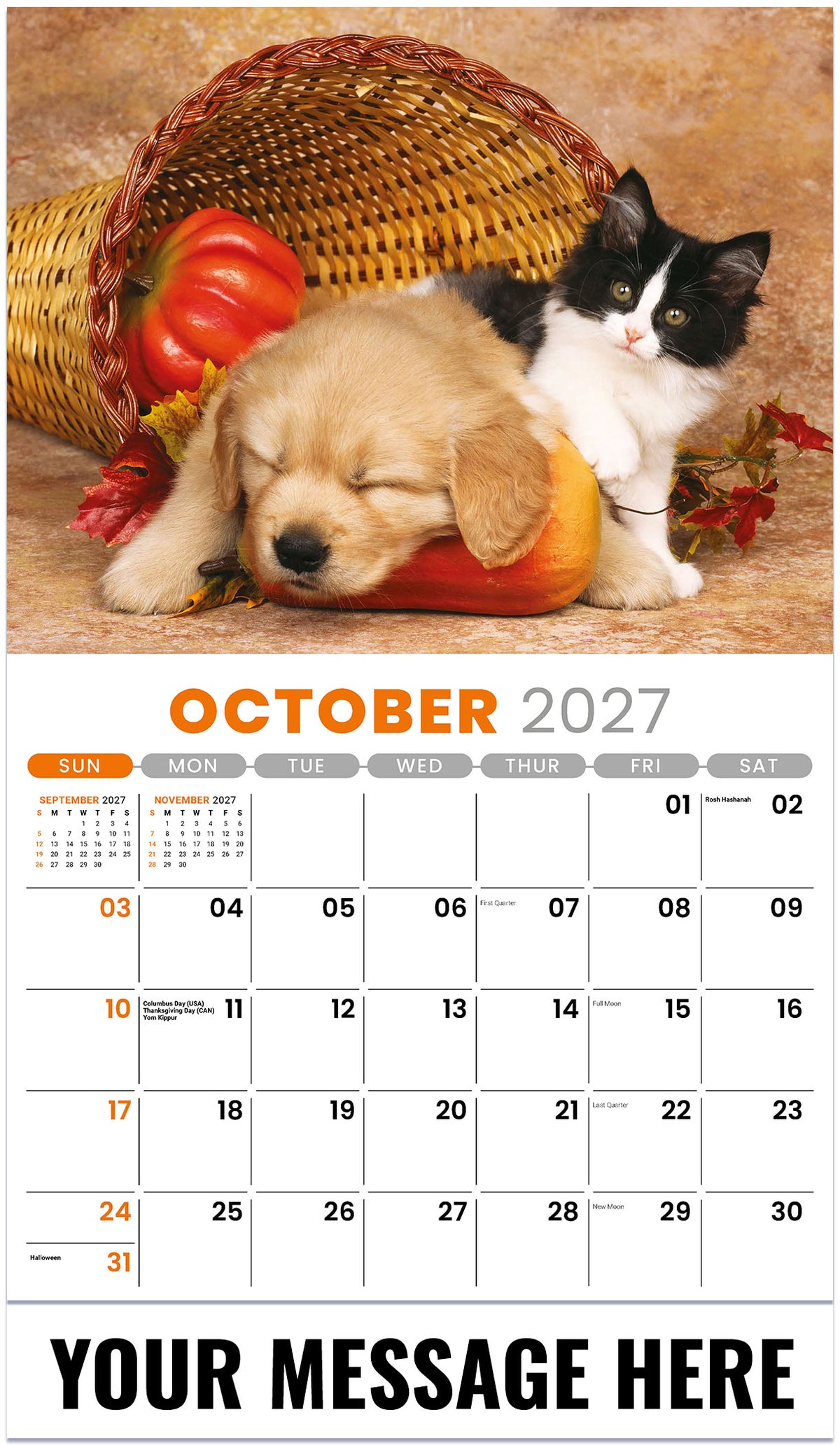Pets 2027 October