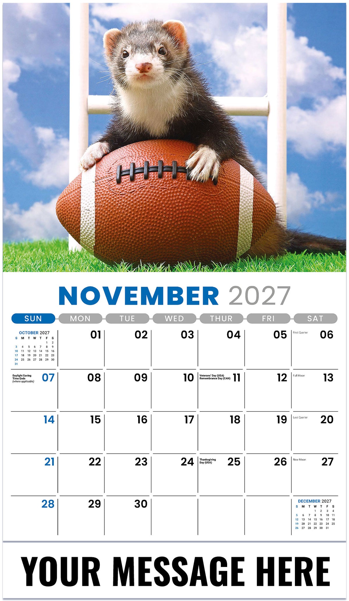 Pets 2027 November