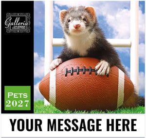 Pets-GALLERIA