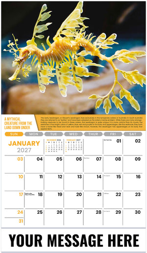 Planet-Earth 2027 January