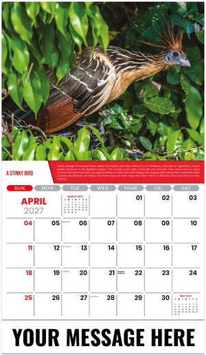 Planet-Earth 2027 April