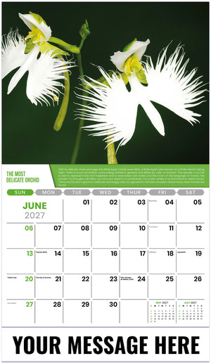 Planet-Earth 2027 June