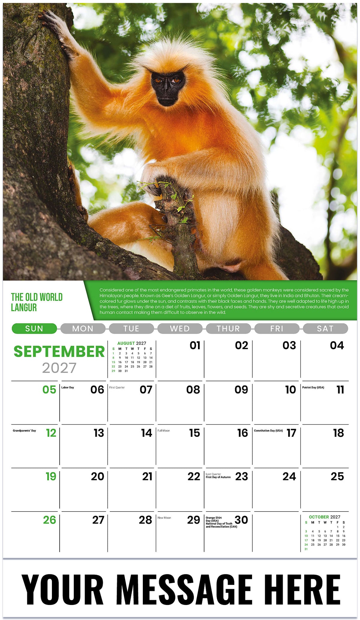 Planet-Earth 2027 September