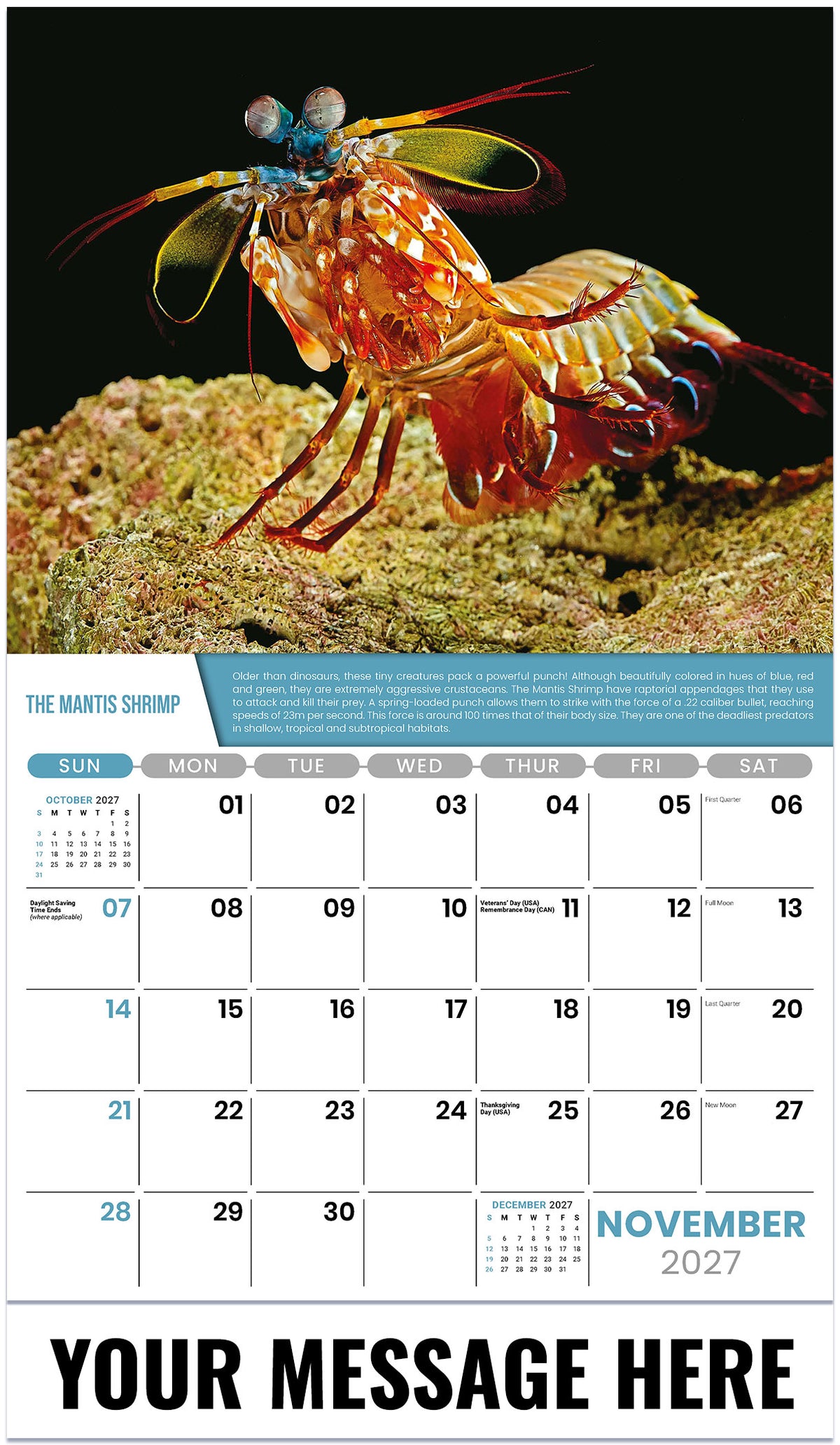 Planet-Earth 2027 November