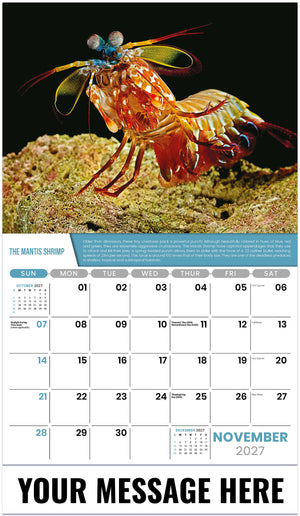 Planet-Earth 2027 November