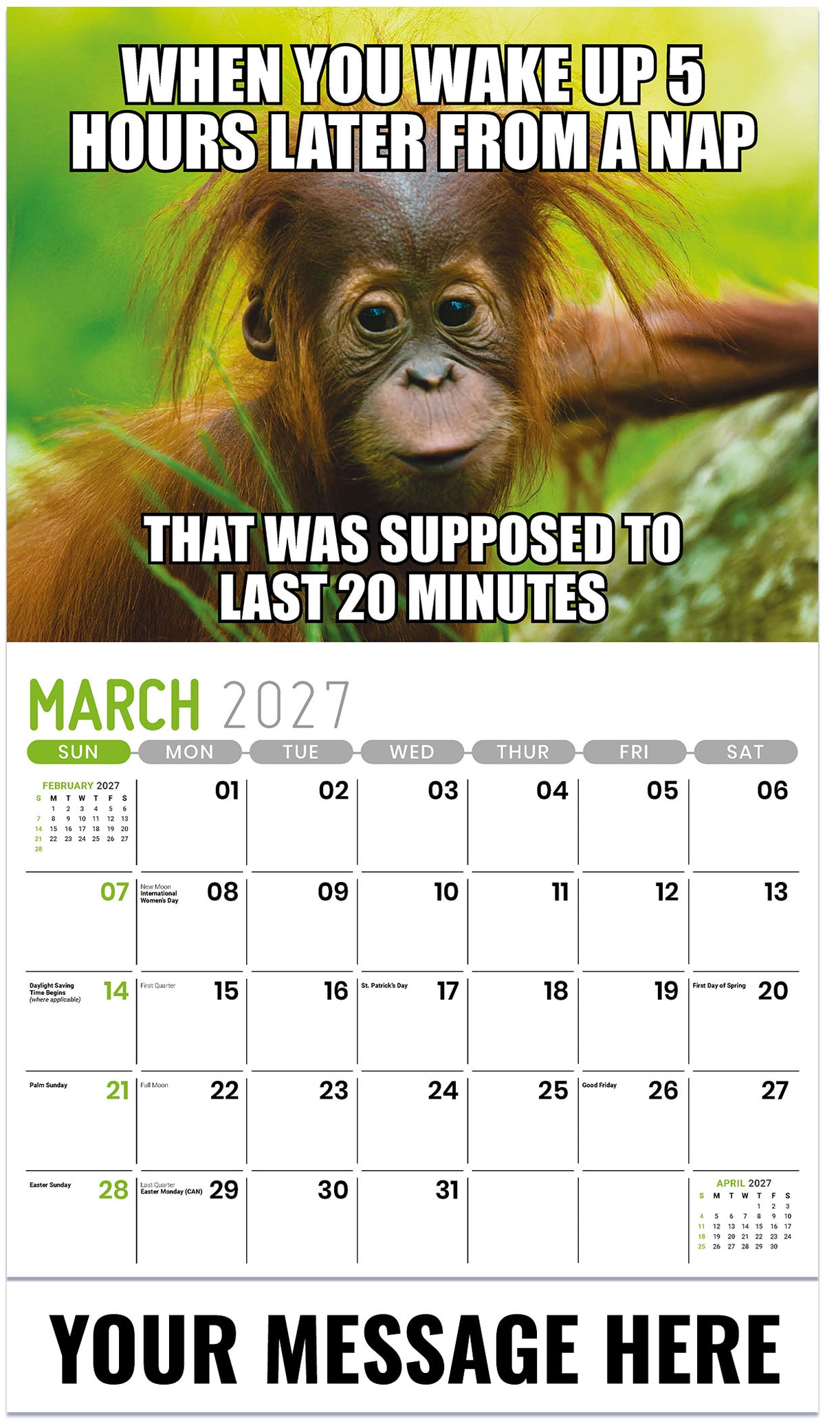 The-Meming-of-Life 2027 March