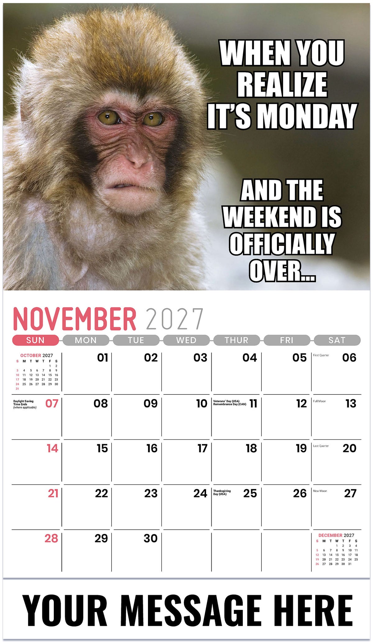 The-Meming-of-Life 2027 November