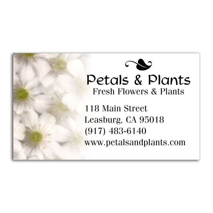 Business Card Magnet - Daisies
