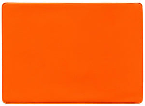 Insurance Card Holder