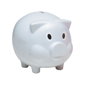 Plastic Piggy Bank