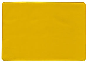 Insurance Card Holder